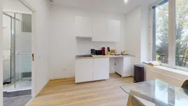 Colocation Appartement de 3 pièces en duplex meublé et rénové avec une grande terrasse à La Mulatière