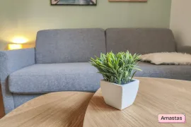Location Charmant studio rénové et meublé entièrement au HAVRE - Idéal étudiant ! - 1761027