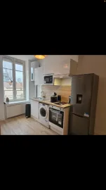 Location Appartement de 2 pièces entièrement meublé et rénové avec goût à Lyon 3