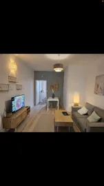 Location Appartement de 2 pièces entièrement meublé et rénové avec goût à Lyon 3
