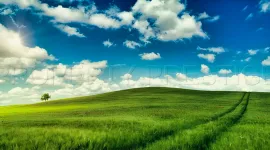 Vente EXPLOITATION AGRICOLE 245 HA