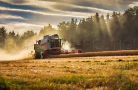 Vente EXPLOITATION AGRICOLE 245 HA