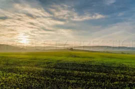 Vente EXPLOITATION AGRICOLE 245 HA