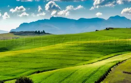 Vente EXPLOITATION AGRICOLE 245 HA