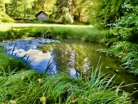 Vente DORDOGNE LOGIS MOULIN A EAU 8 HA