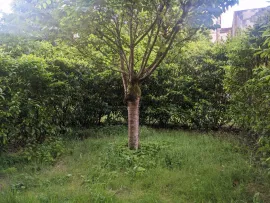 Location Appartement meublé T3
