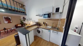 Location Superbe appartement meublé 1 pièce avec mezzanine a 10 min du centre ville de Lille - 1591041