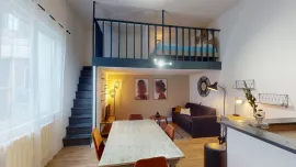 Location Superbe appartement meublé 1 pièce avec mezzanine a 10 min du centre ville de Lille - 1591041