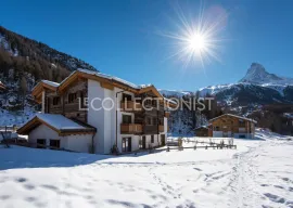 Appartement Elena Zermatt