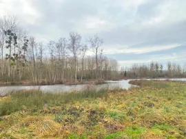 Vente Hutte de chasse dans l'Aisne