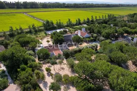 Quinta dos Pinheiros Brejos da carregueira