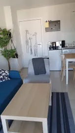 Location Appartement T2 meublé Marseille 15e