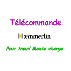 Décoration Pour monte tuile, lève charges, treuil matériaux Haemmerlin Maxial (Télécommande)