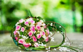 Vente PROVENCE RECEPTIONS MARIAGES 10 HA