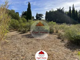 Vente Terrain de loisir