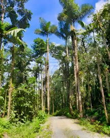 Vente EQUATEUR Propriété 400 m² 50 HA AMAZONIE