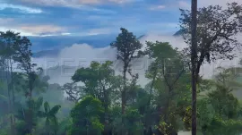 Vente EQUATEUR Propriété 400 m² 50 HA AMAZONIE