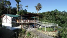 Vente EQUATEUR Propriété 400 m² 50 HA AMAZONIE