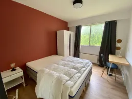 Location Chambres privées en coliving - Lille Centre