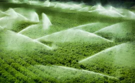 Vente GERS EXPLOITATION AGRICOLE 270 HA IRRIGUES LACS