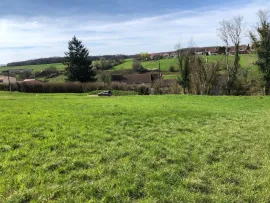 Vente Grand Terrain Constructible Viabilisé