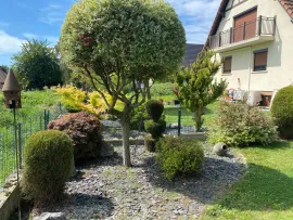 Vente Superbe maison à Bilwisheim