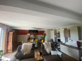 Vente Superbe maison à Bilwisheim