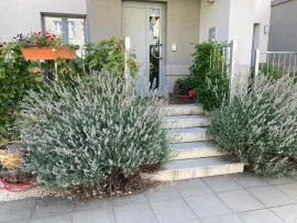 Zwieseler Straße, Berlin Berlin