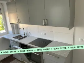 Vente Immeuble d'exception à Mulhouse - 389 m2, combles aménageables et jardin