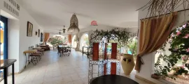Vente GRANDE PROPRIÉTÉ À DJERBA ARKOU ZA - RÉF V668