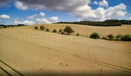Vente CHER PROPRIETE AGRICOLE 250 HA