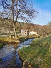 Vente AUVERGNE MOULIN GITES CHAMBRES D’HÔTES RIVIERE 1.5 HA