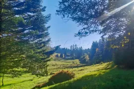 Vente AUVERGNE MOULIN GITES CHAMBRES D’HÔTES RIVIERE 1.5 HA