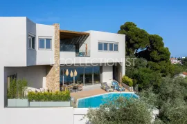 Villa Saturn Skiathos