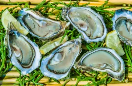 Vente ARCACHON RESIDENCE HOTELIERE FACE A L’OCEAN