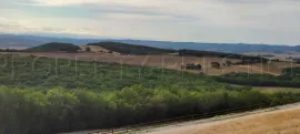 Vente OCCITANIE PROPRIETE 820 HA LACS COLLINAIRES