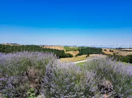 Vente OCCITANIE PROPRIETE 820 HA LACS COLLINAIRES