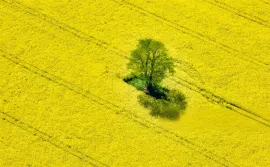 Vente NOUVELLE AQUITAINE – EXPLOITATION AGRICOLE – 130 HA