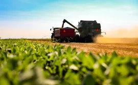 Vente NOUVELLE AQUITAINE – EXPLOITATION AGRICOLE – 130 HA