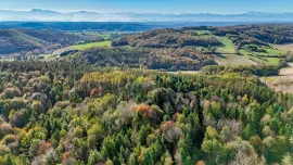 Vente ARIEGE PROPRIETE FORESTIERE 54 HA
