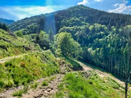 Vente ARDECHE PROPRIETE 6 HA SOURCES RIVIERE