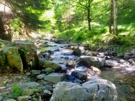 Vente ARDECHE PROPRIETE 6 HA SOURCES RIVIERE