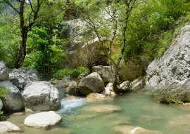 Vente PROVENCE PROPRIETE 230 HA RECEPTIONS