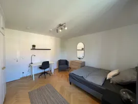 Amerstorfferstraße, Munich München