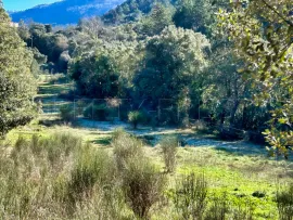 Vente AUDE PROPRIETE ECOLOGIQUE GITES 180 HA