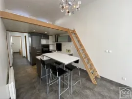 Lille Appartement de type F2 avec cour Lille