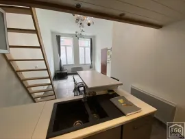Location Lille Appartement de type F2 avec cour