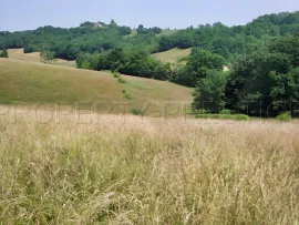 Vente SUD-OUEST PROPRIETE AGRICOLE ET CHASSE 109 HA
