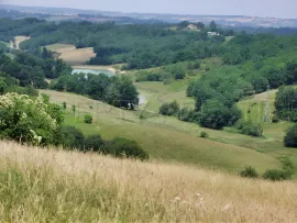 Vente SUD-OUEST PROPRIETE AGRICOLE ET CHASSE 109 HA