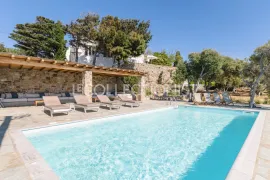 Villa Iremia Mykonos